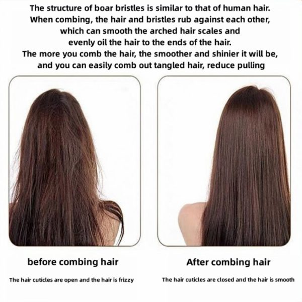 Boar bristle bamboo air cushion comb scalp massage comfortable and cute air bag comb smooth hair styling hair salon comb smooth nylon tooth wooden comb