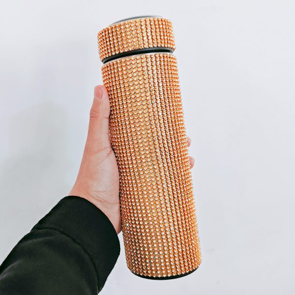 Thermos Cup Cold Cup Diamond 500ml (17oz) Stainless Steel Straight Thermos Cup Smart Thermos Cup Straight Cup LED Temperature Display Water Cup Home Office Portable Large Capacity Car Cup With Stainless Steel Filter Vacuum Cup Diamond Stainless Steel Straight Thermos Cup